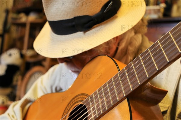 Guitar player, musician plays the guitar