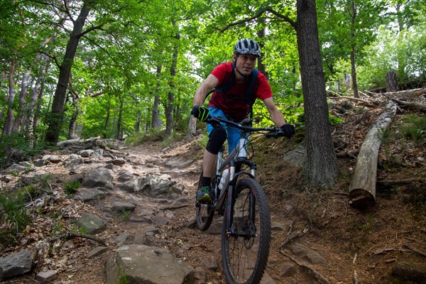 Mountain biker on a rocky spot above Wolfsburg Castle in the Palatinate Forest, Germany, Europe