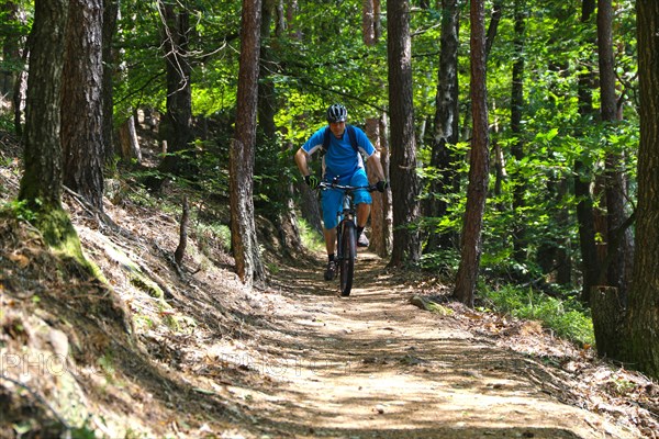 Mountain bikers downhill in the forest (Edenkobener Tal, Palatinate Forest, Mobel released)