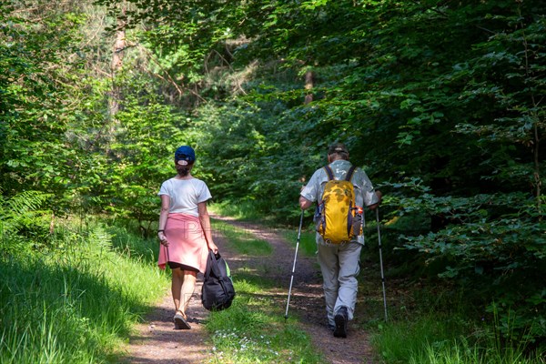 Couple hiking in the forest