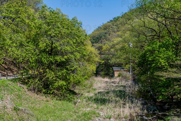 Log maintenance shed nestled in lush foliage next to lake