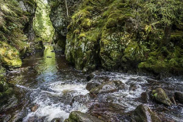 Haslachschlucht, Wutachschlucht, near Lenzkirch, Black Forest, Baden-Wuerttemberg, Germany, Europe