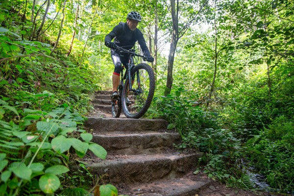 Mountain biker riding steps on a single trail in the Palatinate Forest, Germany, Europe
