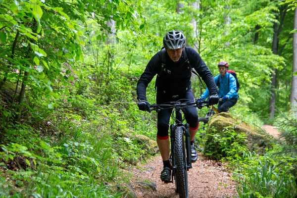 Mountain biker on tour in the central Palatinate Forest near Lambertskreuz