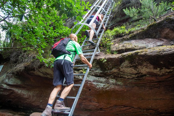 Hikers on the ladder to the Huehnerstein . The Huehnerstein is a sandstone rock in the Palatinate Forest and part of the Rimbachsteig trail