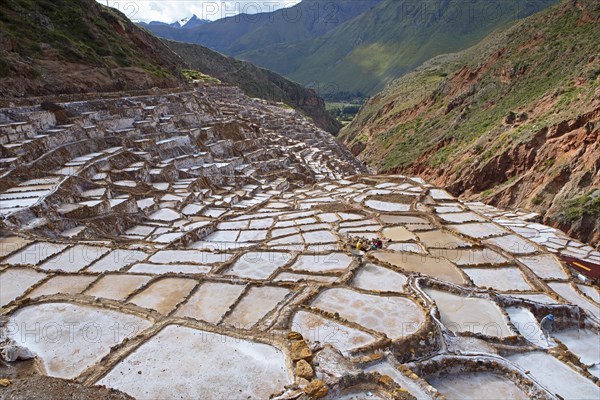 Salineras de Maras or salt mines of Maras, Cusco region, Peru, South America