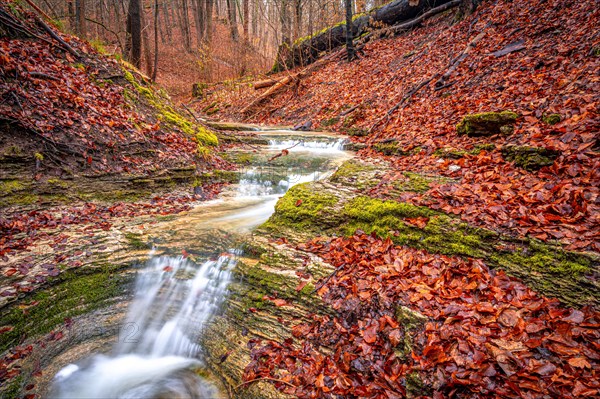 Waterfall in the Rautal forest in Jena in winter, Jena, Thuringia, Germany, Europe