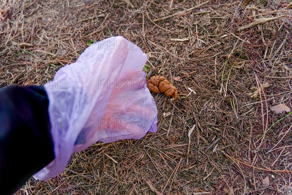 A hand picks up dog poop with a bag in the field