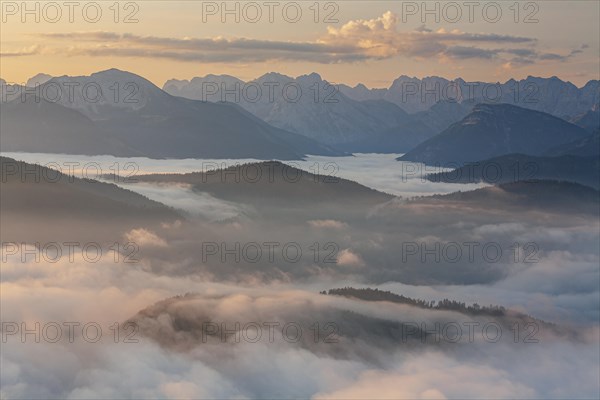 Mountain peak above clouds at sunrise, haze, summer, view from Jochberg to Karwendel mountains, Bavarian Alps, Upper Bavaria, Bavaria, Germany, Europe