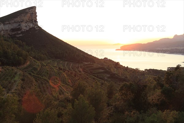 Sunset at Cap Canaille, Cassis, Bouches-du-Rhone, Provence, France, Europe