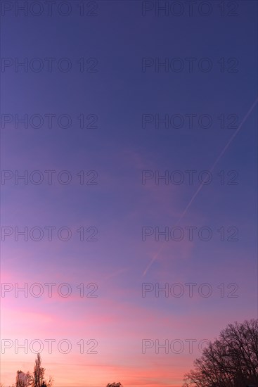 Evening sky with contrails, Bavaria, Germany, Europe