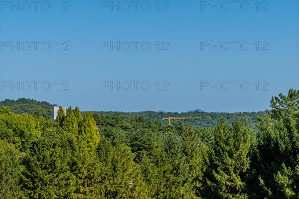 Communication tower, construction crane, concrete block structure and streetlight visible above treetops of evergreen trees in mountain park in South Korea