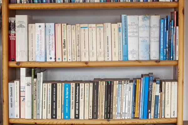 Bookshelf with books, Germany, Europe