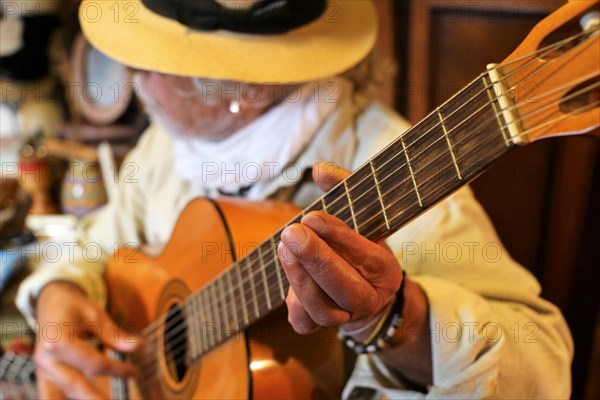 Guitar player, musician plays the guitar