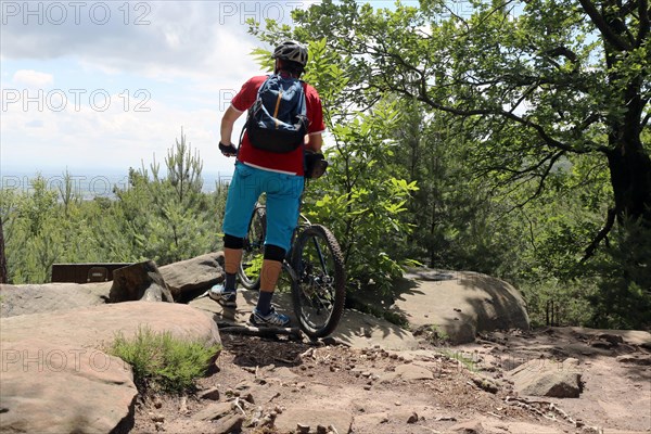 Mountain biker enjoys the view of the Rhine plain above Neustadt an der Weinstrasse