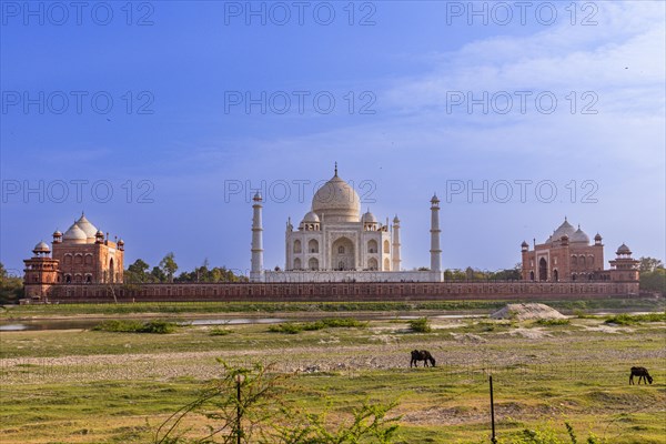 The Taj Mahal, view from the View Point near Mehtab Bagh or Moonlight Garden, Agra, India, blue sky, art, pattern, Asia