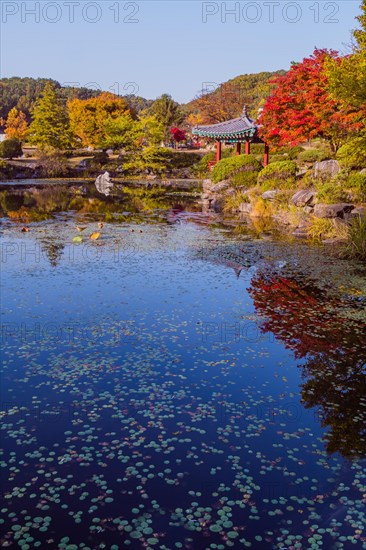 Landscape of man made pond in local public park in South Korea