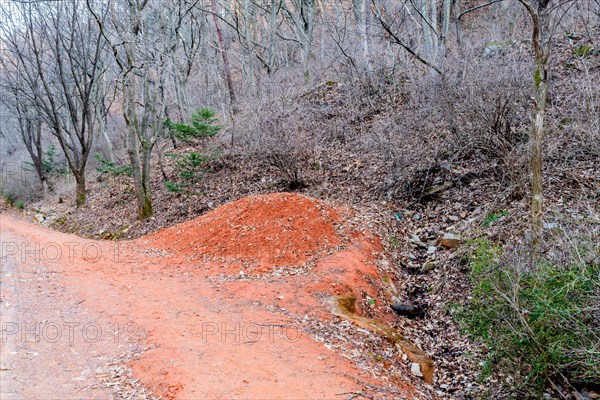 Mound of red clay next to hiking trail in mountainous recreational forest
