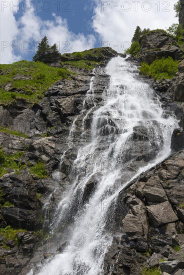 Cascades of a majestic waterfall in a green mountain landscape, Capra Waterfall, Goat Waterfall, Transfogarasan High Road, Transfagarasan, TransfagaraÈ™an, FagaraÈ™ Mountains, Fagaras, Transylvania, Transylvania, Transylvania, Ardeal, Transilvania, Carpathians, Romania, Europe