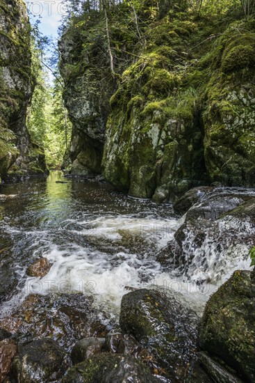 Haslachschlucht, Wutachschlucht, near Lenzkirch, Black Forest, Baden-Wuerttemberg, Germany, Europe