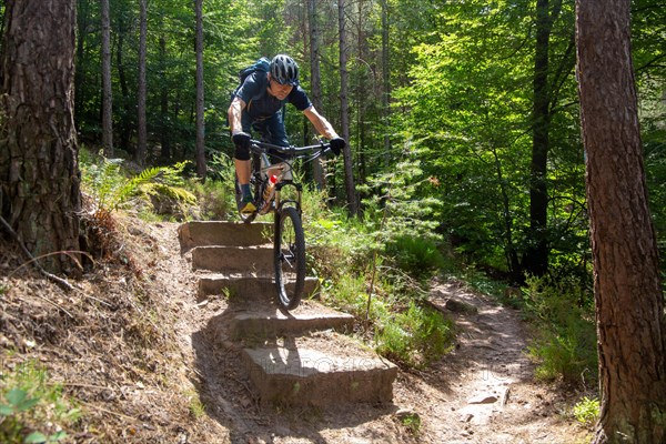 Mountain biker in the Palatinate Forest rides a difficult single trail with several steps
