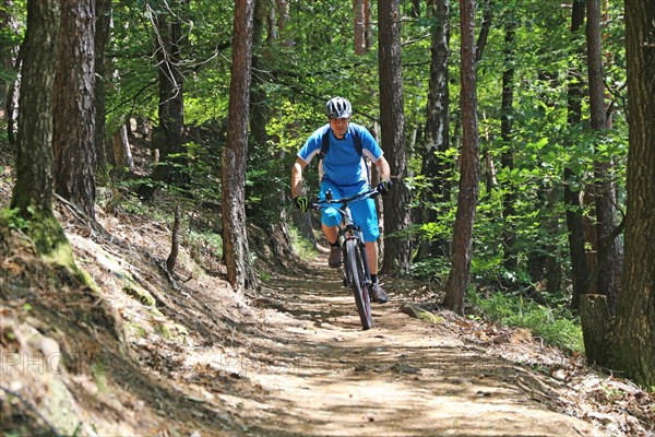 Mountain bikers downhill in the forest (Edenkobener Tal, Palatinate Forest, Mobel released)