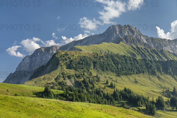 Oberbauen, Lake Lucerne, Canton Uri, Switzerland, Lake Lucerne, Uri, Switzerland, Europe