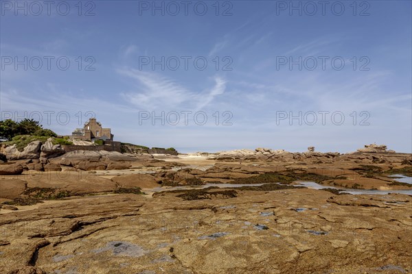 Ile Renote Peninsula, Tregastel, Cote de Granit Rose, Cotes-dArmor Department, Brittany, France, Europe