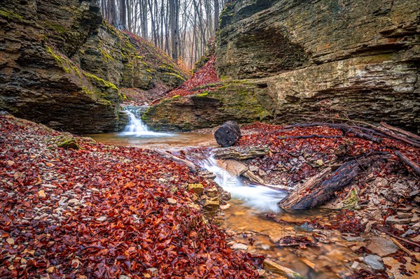 Waterfall in the Rautal forest in Jena in winter, Jena, Thuringia, Germany, Europe
