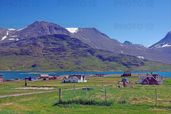 Houses are widely scattered in a meadow by a fjord in a barren landscape, narrow track, Igaliku, North America, Greenland, Denmark, North America