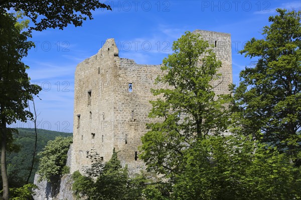 Ruin Reussenstein, ruin of a rock castle above Neidlingen, rock above the Neidlingen valley, ministerial castle of the Teck dominion, Neidlingen, Swabian Alb, Baden-Wuerttemberg, Germany, Europe