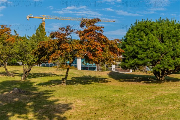 Landscape of beautiful park like setting under blue sky with construction cane over treetops in background in South Korea