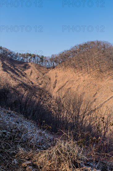 Mountainside suffering from intense logging and deforestation