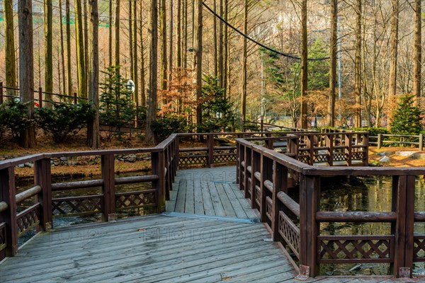 Wooden elevated walkway with handrail over pond in public park in South Korea