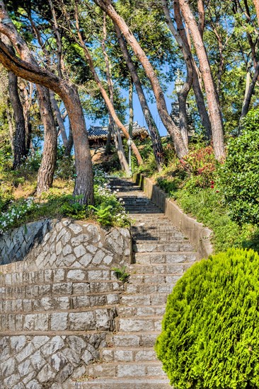 Stone and concrete stairway on hillside under shade trees in rural park in South Korea