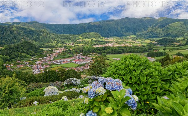 View of the Furnas valley surrounded by lush vegetation and colourful hydrangeas under a cloudy sky, Terra Nostra Park, Furnas, Sao Miguel, Azores, Portugal, Europe