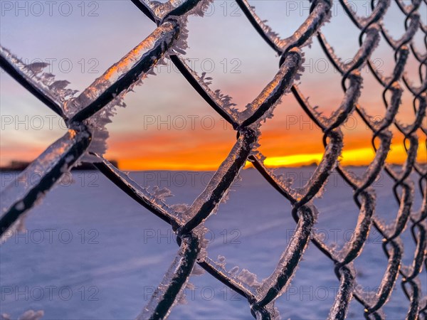 Black ice and hoarfrost on wire mesh fence at sunset, Close Up, Ellern, Rhineland-Palatinate, Germany, Europe