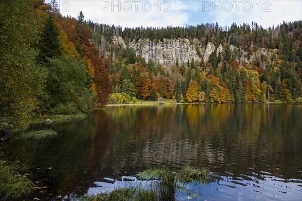 Lake and autumnal coloured forest, Feldsee, Feldberg, Black Forest, Baden-Wuerttemberg, Germany, Europe