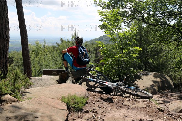 Mountain biker enjoys the view of the Rhine plain above Neustadt an der Weinstrasse