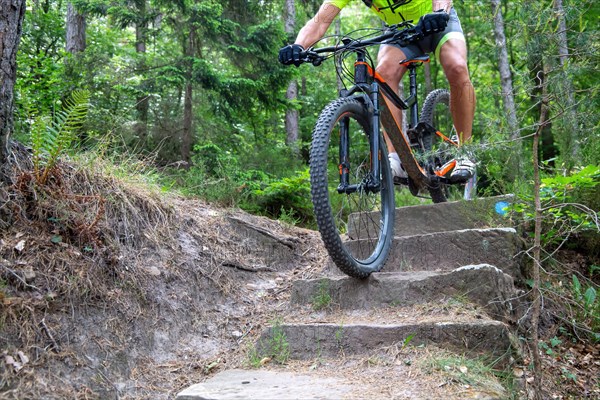 Mountain biker riding steps on a single trail near Weinbiet in the Palatinate Forest, Germany, Europe