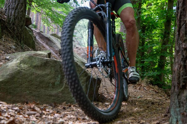 Mountain bikers on a descent in the Palatinate Forest near Weinbiet in the Palatinate Forest, Germany, Europe