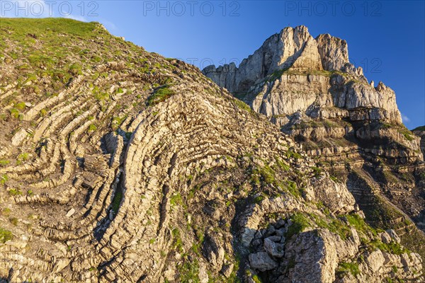 Rock formations, karst landscape in front of mountains, summer, evening light, Hoher Ifen, Allgaeu Alps, Allgaeu, Germany, Europe