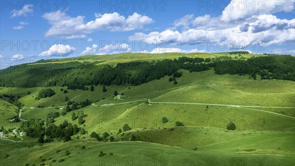Landscape with meadows and trees in Lessinia, area of the pre-alps next to verona in Italy
