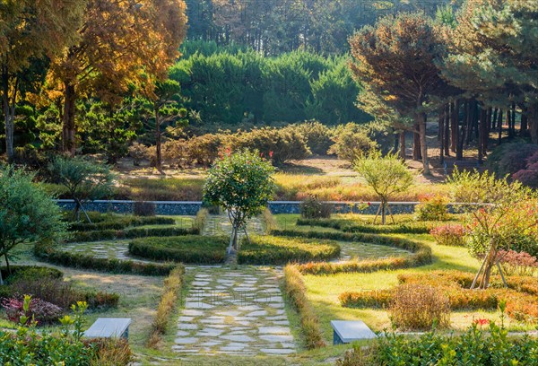 Landscape of beautiful rural park on sunny autumn afternoon in South Korea