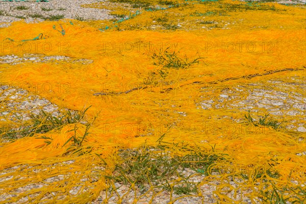 Closeup of large yellow fishing nets with yellow floats laid out on ground to dry in South Korea