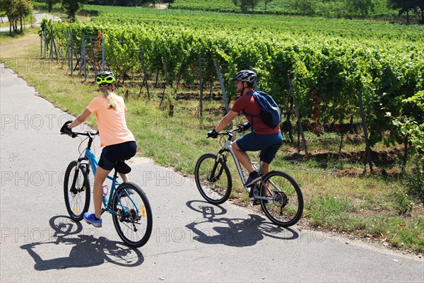 Symbolic image: Young couple on a bike tour in the vineyards, here in the Palatinate near Neustadt an der Weinstrasse