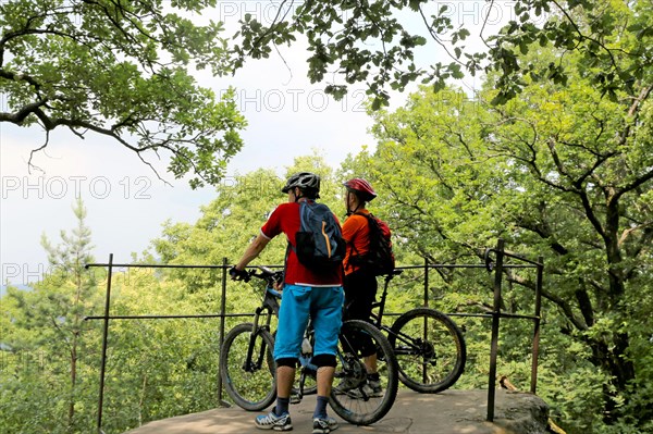 Mountain bikers enjoy the view in the Palatinate Forest above Neustadt an der Weinstrasse