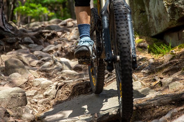Mountain biker in the Palatinate Forest riding an extremely rough trail in the S3 area of the single trail scale