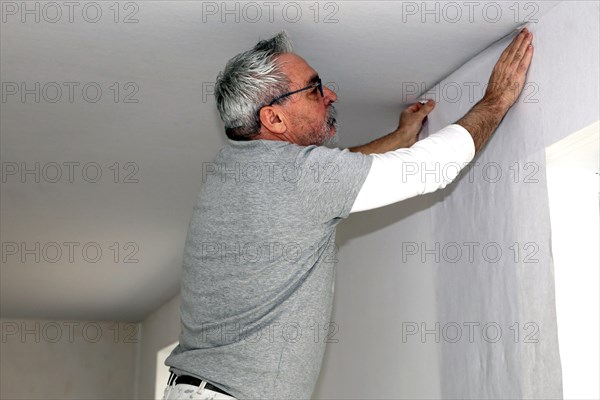 Craftsman (painter) for wallpapering work