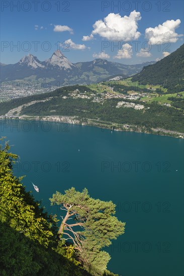 View from Seelisberg over Lake Lucerne Brunnen and the two Mythen, Canton Uri, Switzerland, Seelisberg, Lake Lucerne, Uri, Switzerland, Europe
